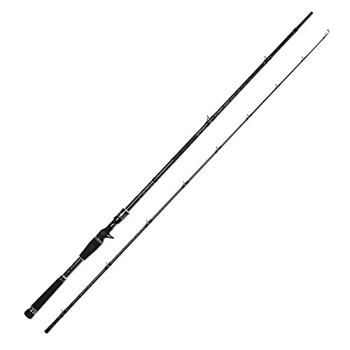 アブガルシアリール、ロッド SALTYFIELD(ソルティーフィールド）｜AbuGarcia｜釣具の総合